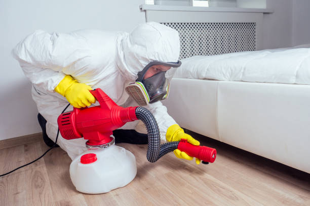 Professional Pest Control in Novi, MI